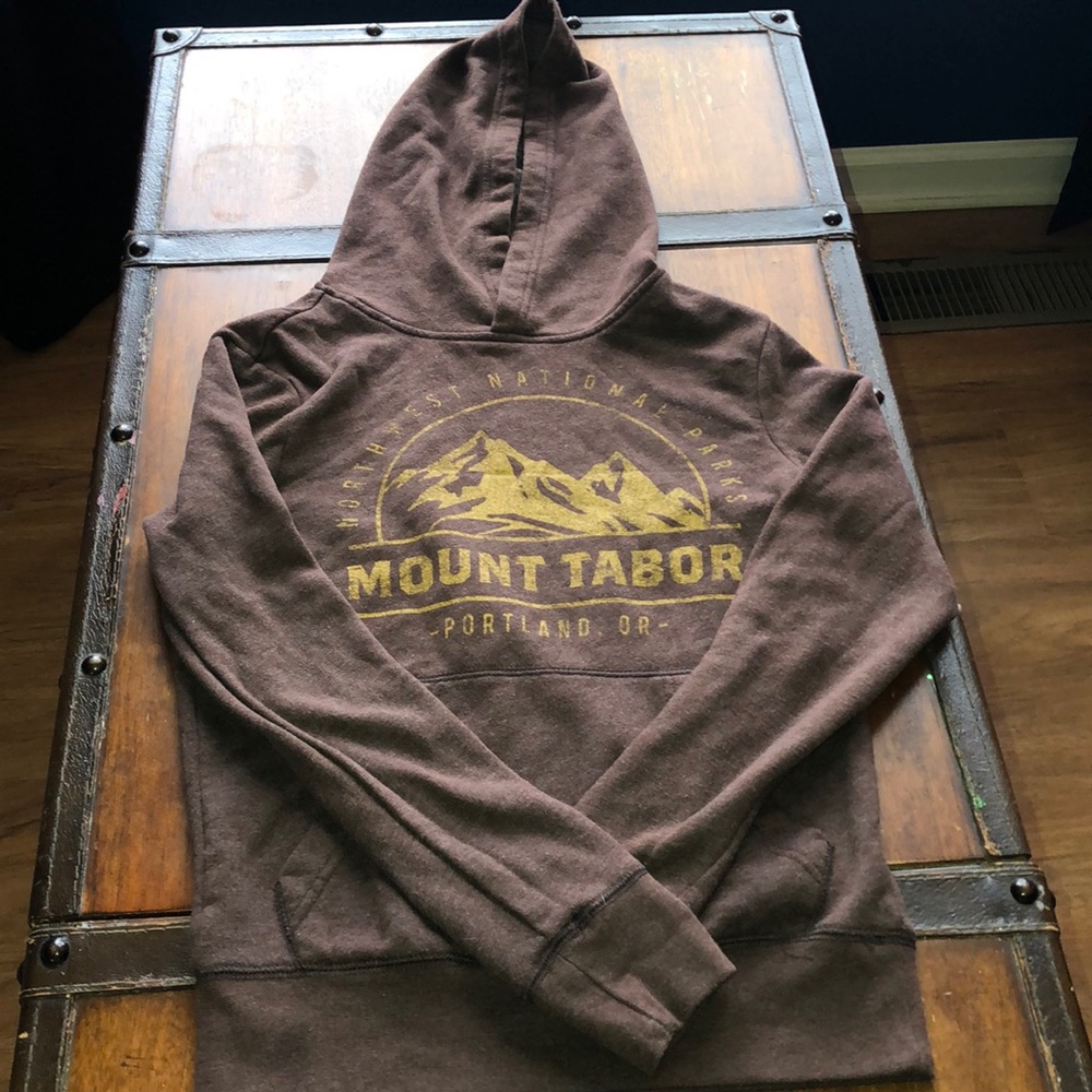 Brown Aéropostale Hoodie